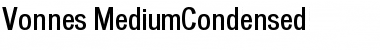 Vonnes Regular Font Title Preview
