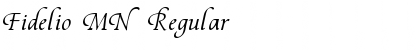 Fidelio MN Regular Font Title Preview