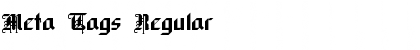 Meta Tags Regular Font Title Preview
