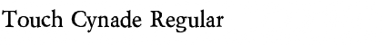 Touch Cynade Regular Font Title Preview