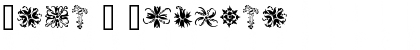 Orna 2 Regular Font Title Preview