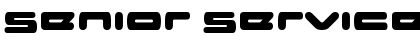 Senior Service Regular Font Title Preview