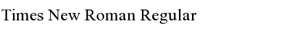Times New Roman Regular Font Title Preview