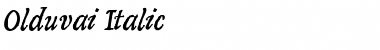 Olduvai Italic Font Title Preview