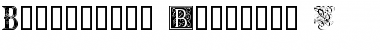 Ornamental Initials B Regular Font Title Preview