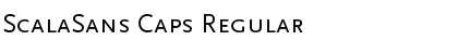 ScalaSans Caps Regular Font Title Preview