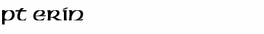 PT Erin Normal Font Title Preview