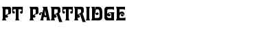 PT Partridge Normal Font Title Preview