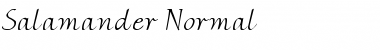 Salamander Normal Font Title Preview