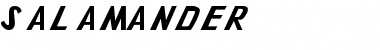 Salamander Normal Font Title Preview