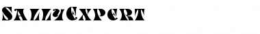 SallyExpert Normal Font Title Preview