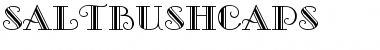 SaltbushCaps Normal Font Title Preview