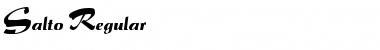 Salto Regular Font Title Preview