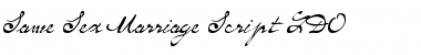 Same-Sex Marriage Script LDO Regular Font Title Preview