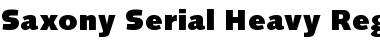 Saxony-Serial-Heavy Regular Font Title Preview