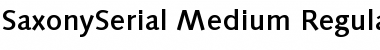 SaxonySerial-Medium Regular Font Title Preview