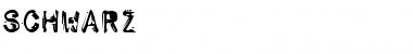 Schwarz Regular Font Title Preview