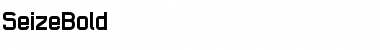 Seize Bold Font Title Preview