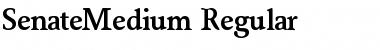 SenateMedium Regular Font Title Preview