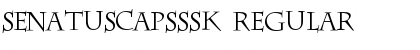 SenatusCapsSSK Regular Font Title Preview