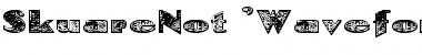 SkuareNot 'Waveform' Regular Font Title Preview