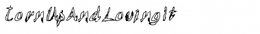 TornUpAndLovingIt Regular Font Title Preview