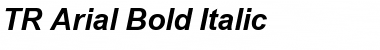 TR Arial Bold Italic Font Title Preview