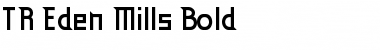 TR Eden Mills Bold Font Title Preview
