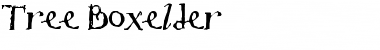 Tree Boxelder Regular Font Title Preview
