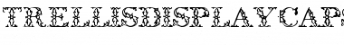 TrellisDisplayCapsSSK Regular Font Title Preview