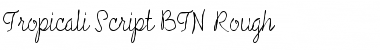 Tropicali Script BTN Rough Regular Font Title Preview