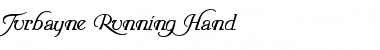 Turbayne Running Hand Regular Font Title Preview