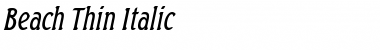 Beach Thin Italic Font Title Preview