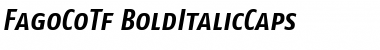 FagoCoTf ItalicBold Font Title Preview