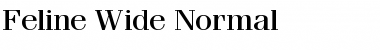 Feline Wide Normal Font Title Preview