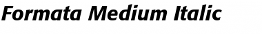 Formata ItalicBold Font Title Preview