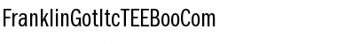 FranklinGotItcTEEBooCom Regular Font Title Preview