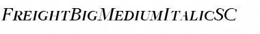 FreightBigMediumItalicSC Regular Font Title Preview