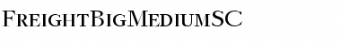 FreightBigMediumSC Regular Font Title Preview