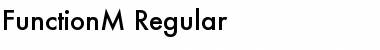 FunctionM Regular Font Title Preview