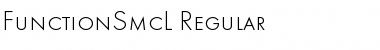 FunctionSmcL Regular Font Title Preview