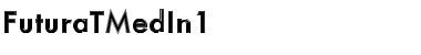 FuturaTMedIn1 Regular Font Title Preview