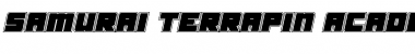 Samurai Terrapin Academy Italic Italic Font Title Preview