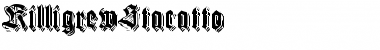 KilligrewStacatto Regular Font Title Preview