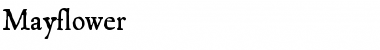 Mayflower Regular Font Title Preview