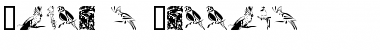 Moyra's Parrots Regular Font Title Preview