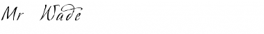 Mr. Wade Regular Font Title Preview