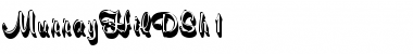 MurrayHilDSh1 Regular Font Title Preview