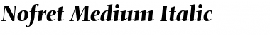 Nofret ItalicBold Font Title Preview