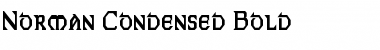 Norman-Condensed Bold Font Title Preview